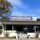 해당화 펜션 | 강원 고성 여행기: 1일차
