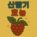 산딸기 효능: 맛있는 과일인 줄만 알았는데, 몸에 진짜 좋은 효능이 가득