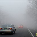 안개로가로수 이미지