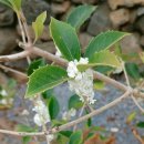 달물인연 이미지