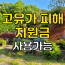 향기캠프