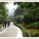 로터리길 이미지