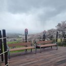 웰빙 | [충남 서산] 서산 한우목장길 웰빙산책로 방문 후기