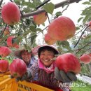 삼애농원 이미지