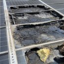 지혜 태양광발전소 이미지