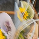 최지원헤어 | [강물방울] 팀 화이트 26기 최지원 활동후기