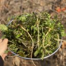 홍성농장 이미지