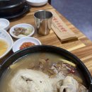 두번째 금성녹두 삼계탕 | 부산시청한식 뜨끈하게 몸보신 가능 금성녹두삼계탕