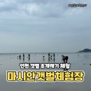 다라1천 | 인천 갯벌체험 영종도 마시안갯벌체험장 조개체험 후기 이용요금 주차안내 내돈내산