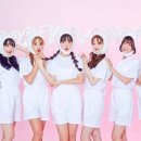 핑크판타지 카카오 검색결과