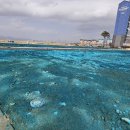 주식회사서림 이미지