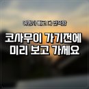 빅씨마트 | 알고 가면 괜찮고, 모르고 가면 당황하는 코사무이 신혼여행 최종후기