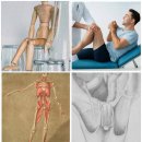 노원백정형외과의원 | 정형외과 혁신! 로봇 수술, 첨단 진단, 그리고 건강한 걷기 비법!