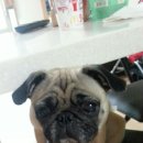 삼무공원 이미지