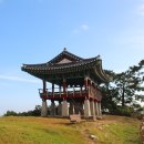 동백정해수욕장(2023년6월예정) Daum카페