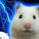 봉산수상레저파크 네이버블로그