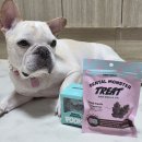 블루덴탈 | 덴티멀 덴탈몬스터와 덴탈트릿으로 강아지치석제거 놀이