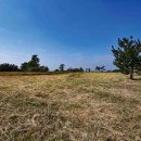 일과리 지석묘 이미지