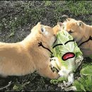 한마음모텔 이미지