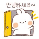참바른약국 이미지
