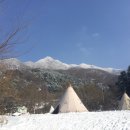 산으로 간 니모 캠핑장 이미지