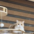 민보석