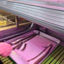 황금조개 튼튼장어 이미지