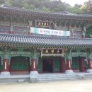 동진버스 이미지