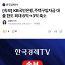 연화섬 | 세종 어진동 딤섬맛집 연화섬 내돈내산 후기