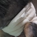 보현동물병원 이미지