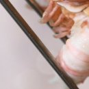 해마회식당