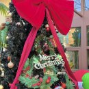 세븐일레븐 광주수완스타점 | ✨광주여행 당일치기 맛집·카페코스 총정리✨ 나나방콕 광주수완점 + 카페 어트 솔직 후기💕