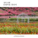 꽃단지 티스토리