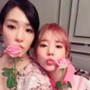 써니풀 이미지