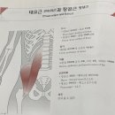 ENDGYM 이미지