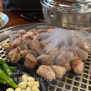동래정김천 네이버블로그