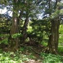 9월10일 목요일 강원 평창. 야생화 벗 삼아 가을맞이 고산 능선 산행 '오대산 두로봉' 과 '선재길' 이미지