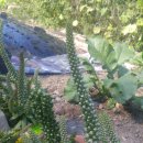 정동농업협동조합 이미지