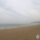 금진 이미지