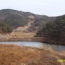 묘산시장 Daum카페
