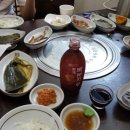 백장어