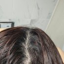 주식회사 리얼건 | 탈모샴푸 고민 끝, 장민호샴푸 닥터오레고닌 탁시폴린플러스 리얼후기