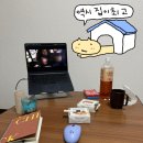 책이랑 노는 날 B | 일본 워홀 Ep4.13~16일차|| 우당탕탕 얼레벌레 노는 나날들(코타츠b/긴자/아키하바라/후지산투어/로컬온천)