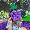 육사농장 이미지