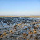 바다애오토캠핑장 이미지