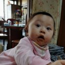 옛날손짜장전문점 이미지