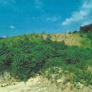 백2리마을회관 이미지