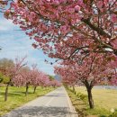 미사경정공원 이미지