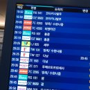 케이오엠 | [방콕 파타야 하나투어 패키지] 여행준비물, 입국신고서, 티웨이항공 이용후기