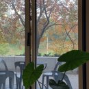 조금느린집 이미지